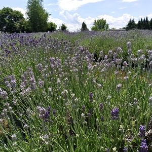 Meet your Posher, Karina